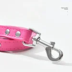 Colorful Soft Leather Pet Leashes with Alloy Buckle - Image 4